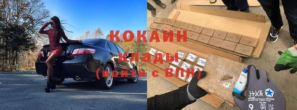 прущий лед Богданович