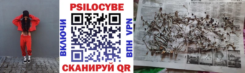 Купить  Горнозаводск  Галлюциногенные грибы прущие грибы 